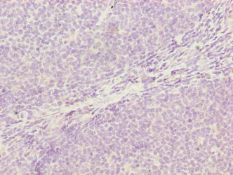 CSB-PA868340LA01HU