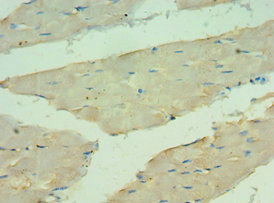 CSB-PA866314ESR2HU