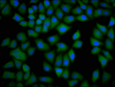 CSB-PA005453LA01HU