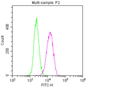 CSB-MA0157131A0m