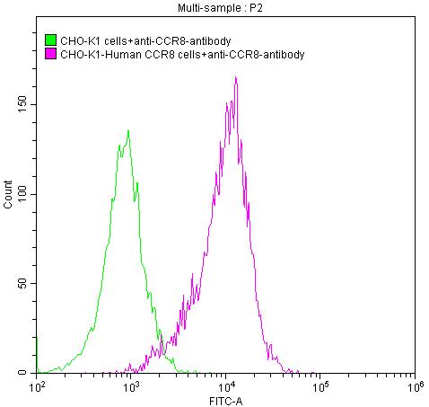 CSB-RA004847MA3HU
