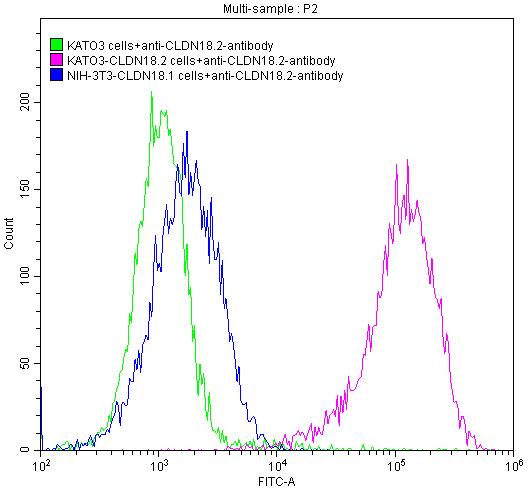 CSB-RA005498A1HU FC