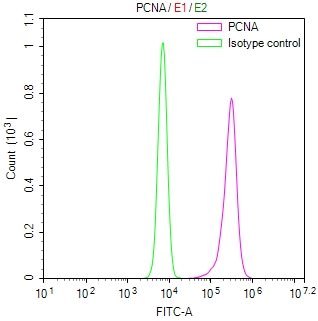 CSB-RA017621MA1HU