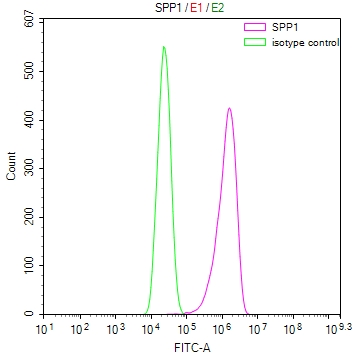 CSB-RA022603MA1HU