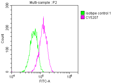 CSB-RA166706A0HU