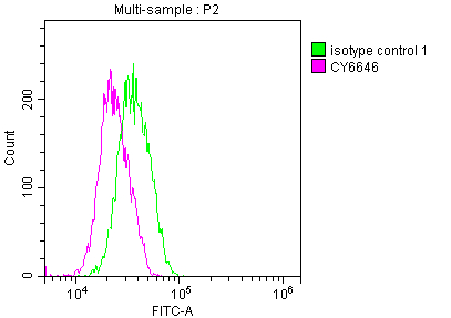 CSB-RA200985A0HU