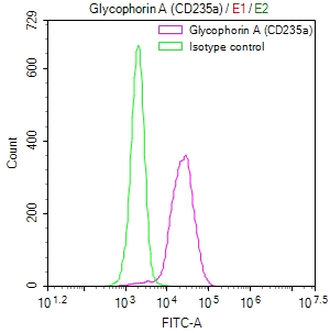 CSB-RA257220A0HU