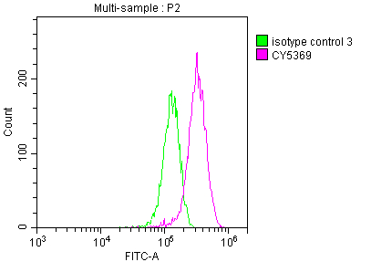 CSB-RA262034A0HU