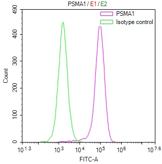 CSB-RA276081A0HU