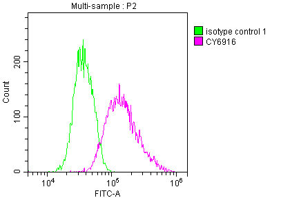 CSB-RA284992A0HU