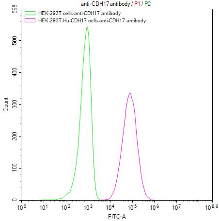 CSB-RA613267MA1HU