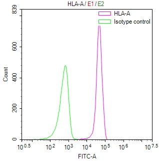 CSB-RA977288A0HU
