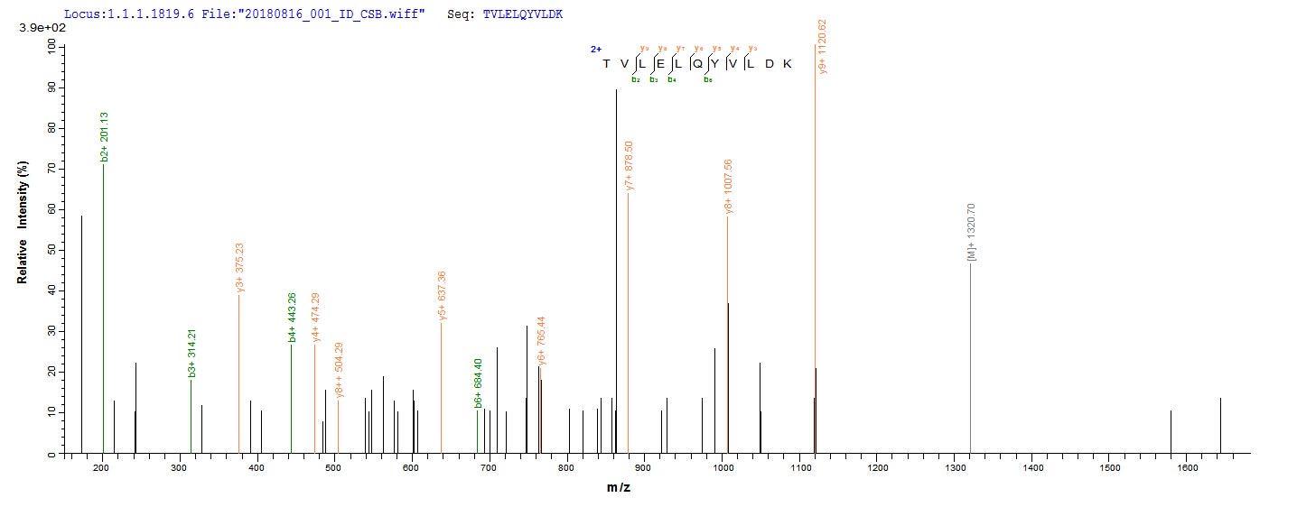 CSB-BP614529HU