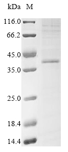 CSB-CF861997HU