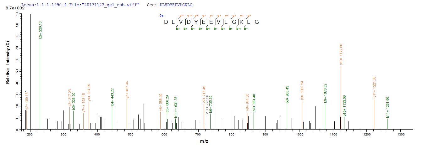 CSB-EP002226HU