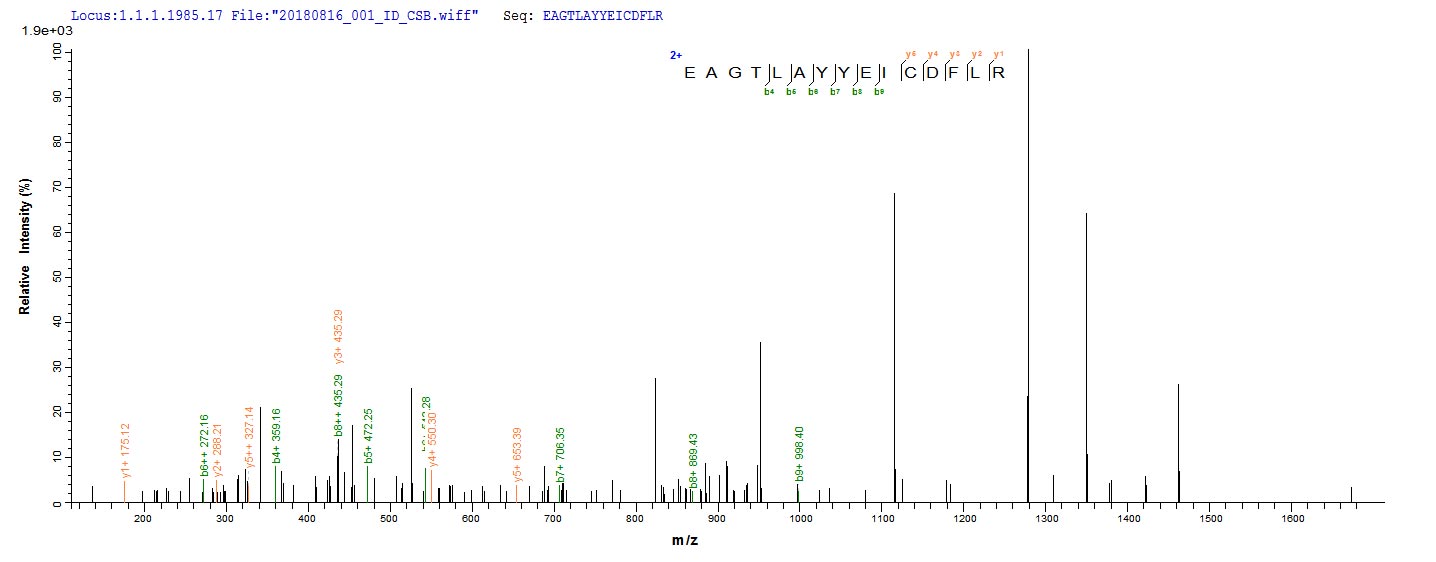 CSB-EP005346HU