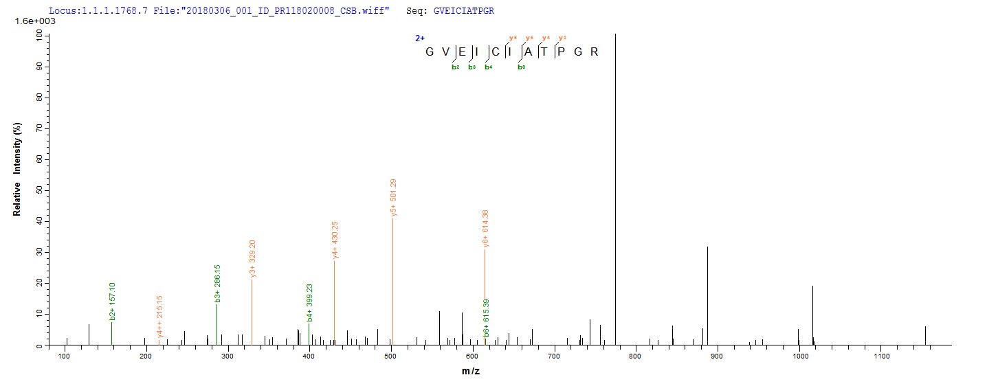 CSB-EP006630HU