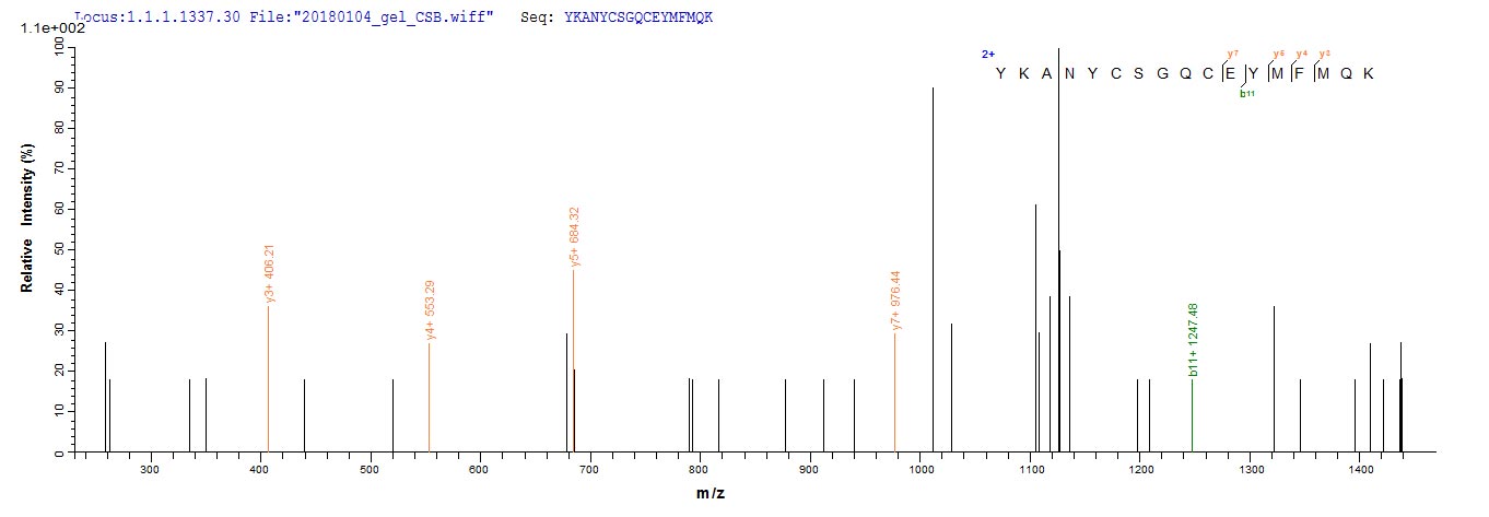 CSB-EP009344HU