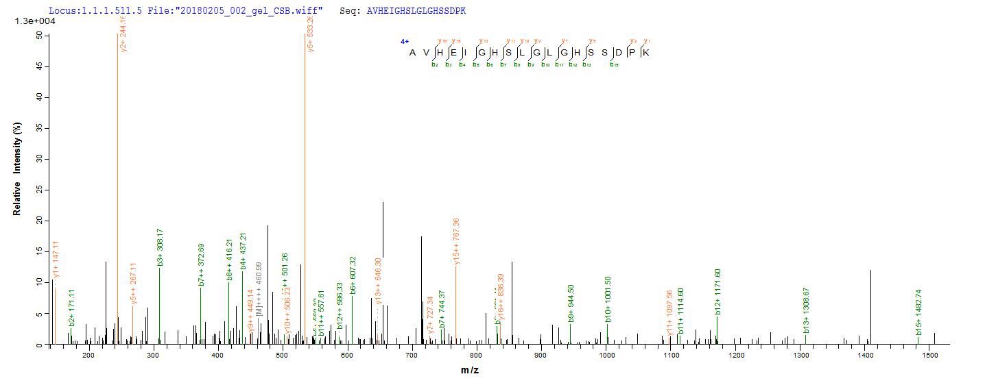 CSB-EP014659HU