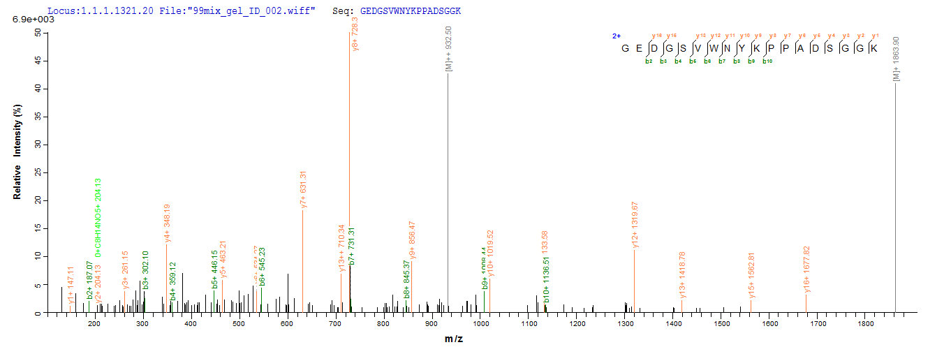 CSB-EP016048HU