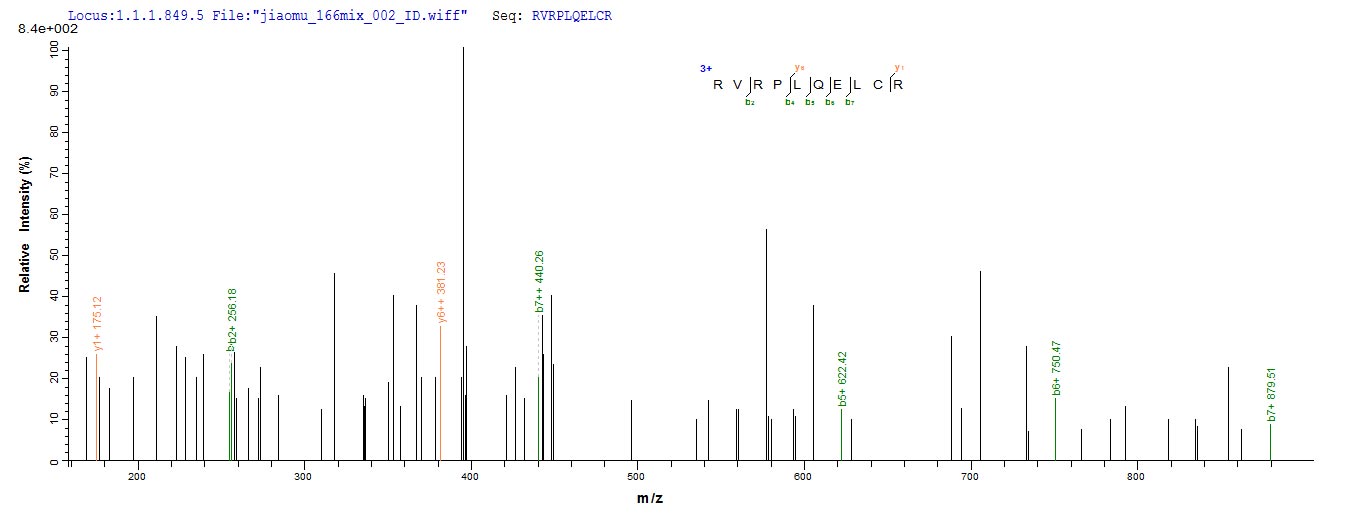 CSB-EP022388HU
