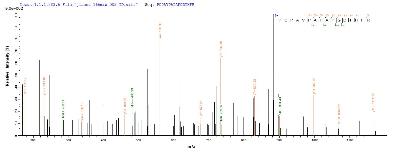 CSB-EP022388HU