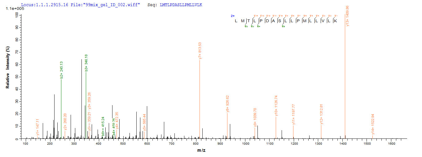 CSB-EP023601HU1