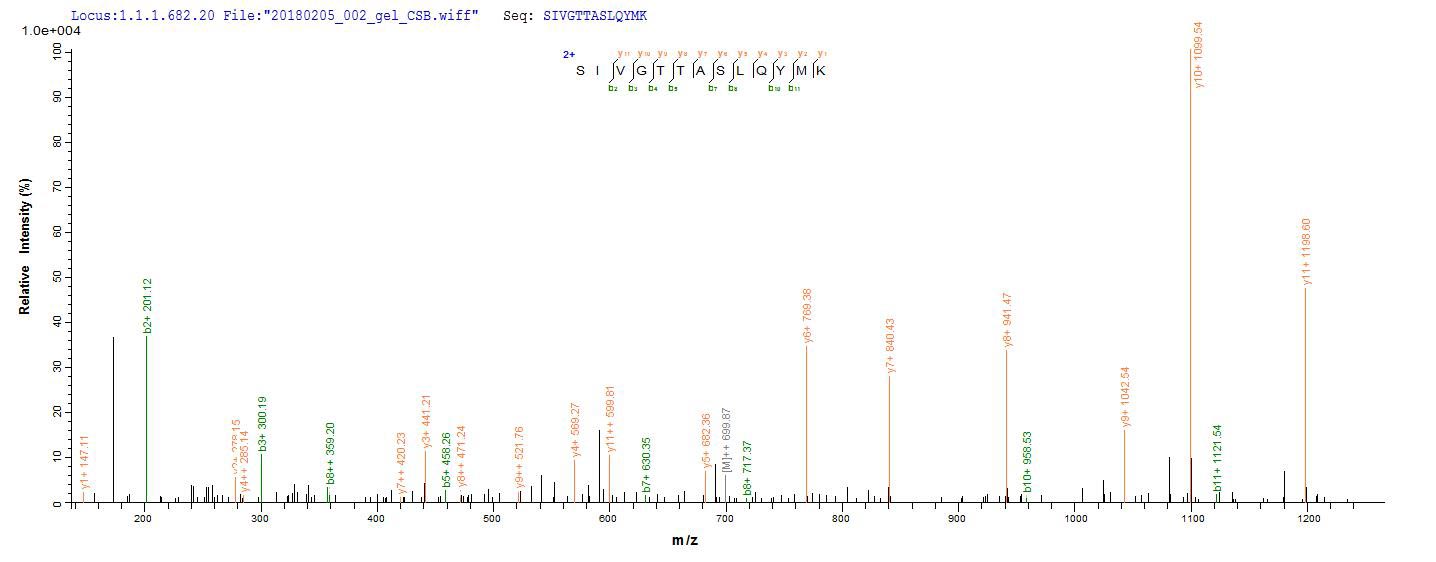 CSB-EP320799CLQ