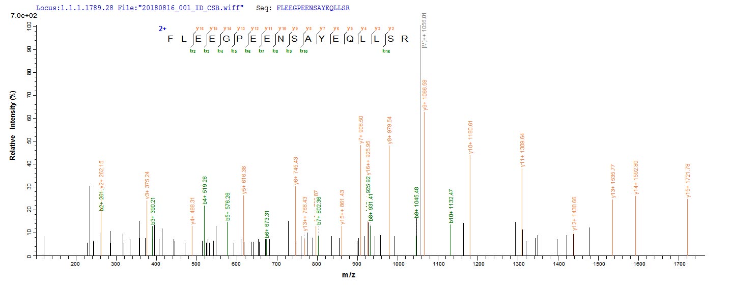CSB-EP614990HUc0