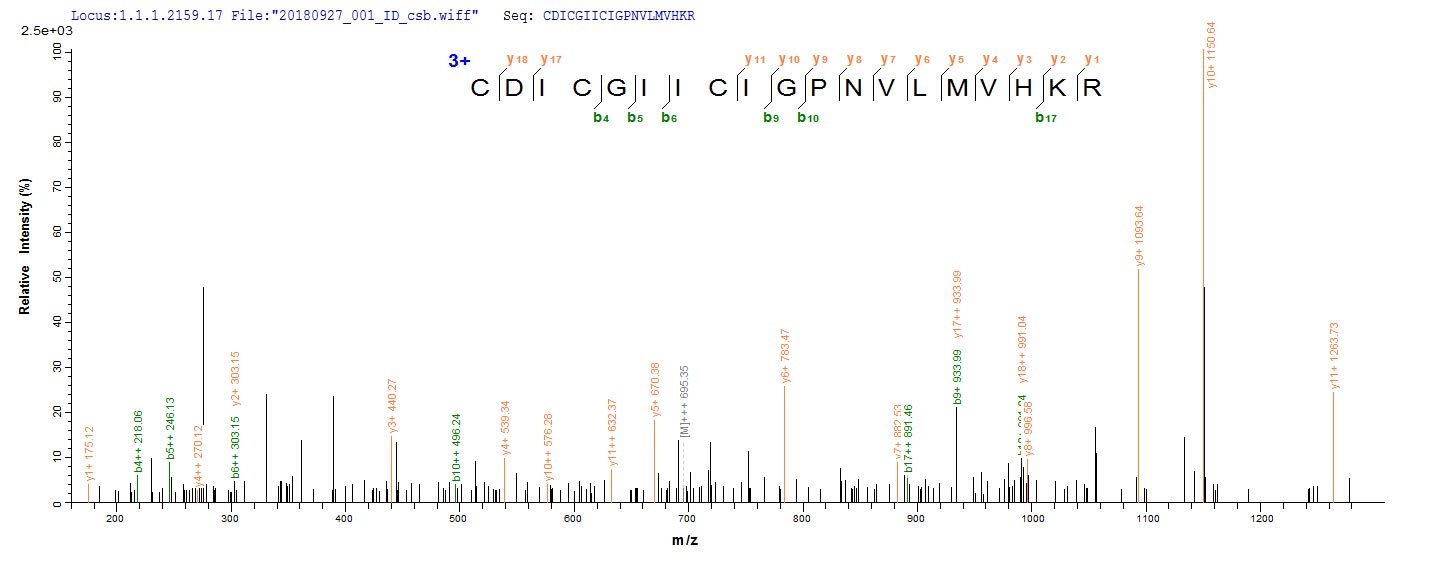 CSB-EP621668HU