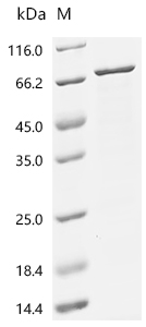 CSB-EP845177HU1d7