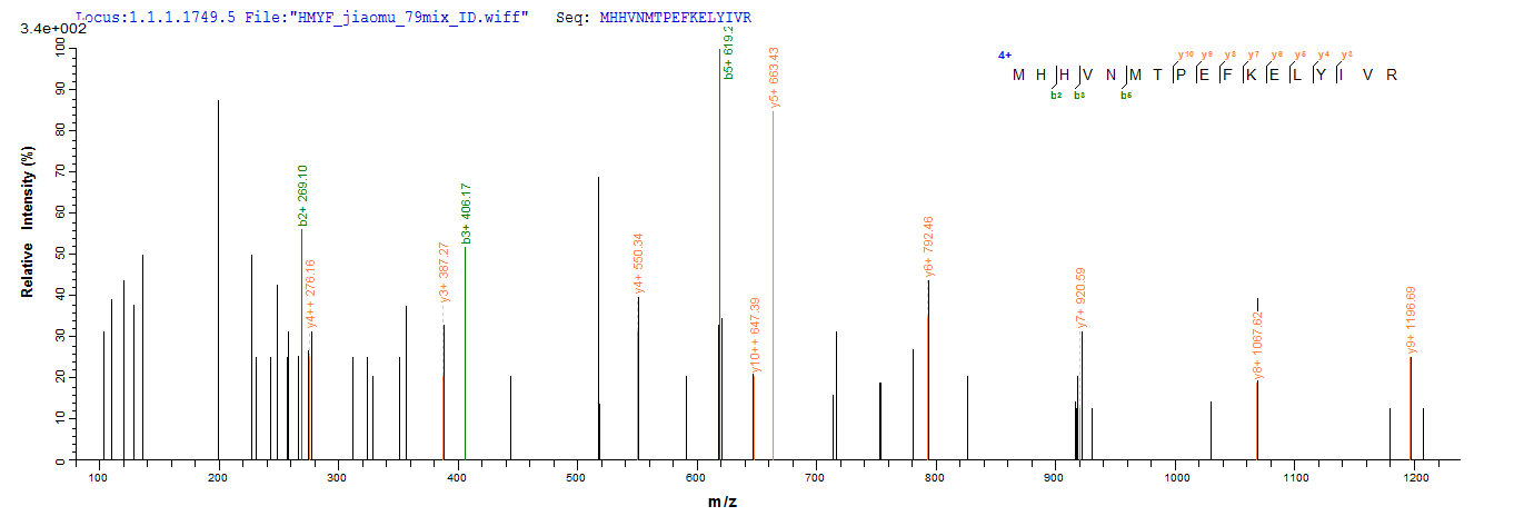 CSB-EP880143HU