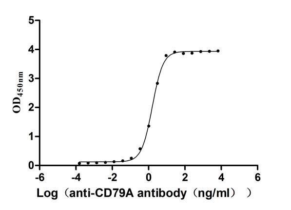 CSB-MP004957HU1
