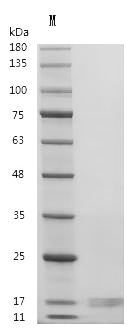 CSB-MP011719HU-WD