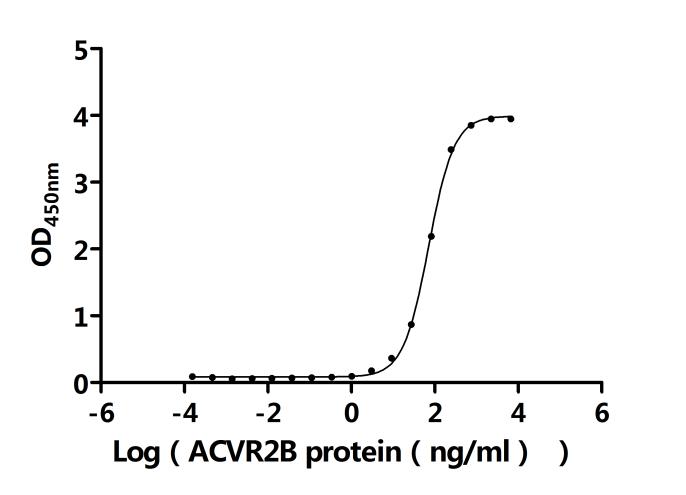 CSB-MP015057HU(A4)