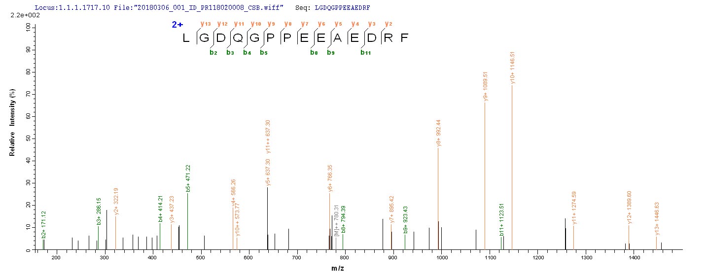 CSB-YP518830HU