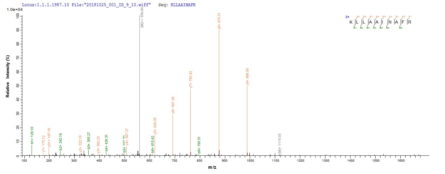 CSB-CF012086HU