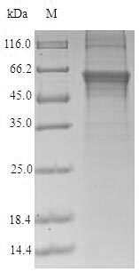 CSB-CF842761HU