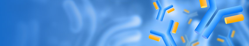 DT3C，抗體內(nèi)化效率評估的新工具