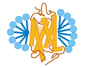 去垢劑平臺(tái)